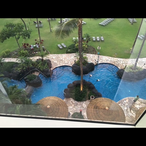 RIP my angel baby Honey😭😭🙏🙏💕4-3-2020🙏 - Picture 7 of 8